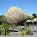 Christchurch in Christchurch city