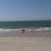 Yaque's Beach (Playa El Yaque)- Эль Яке 