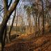 Park Miejski im. Stefana Żeromskiego in Starachowice city