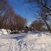 Место для семейного, дружеского пикника  в городе Москва