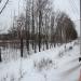Лесополоса «Марк» (восточная часть) в городе Москва