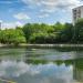 Средний пруд на Зюзинском ручье в городе Москва