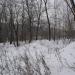 Фундамент казармы в городе Раздольное