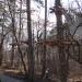 Waldseilpark Kahlenberg (de) в городе Вена