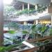 Trinoma's Indoor Garden in Quezon City city