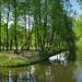 Первый Воронцовский пруд в городе Москва