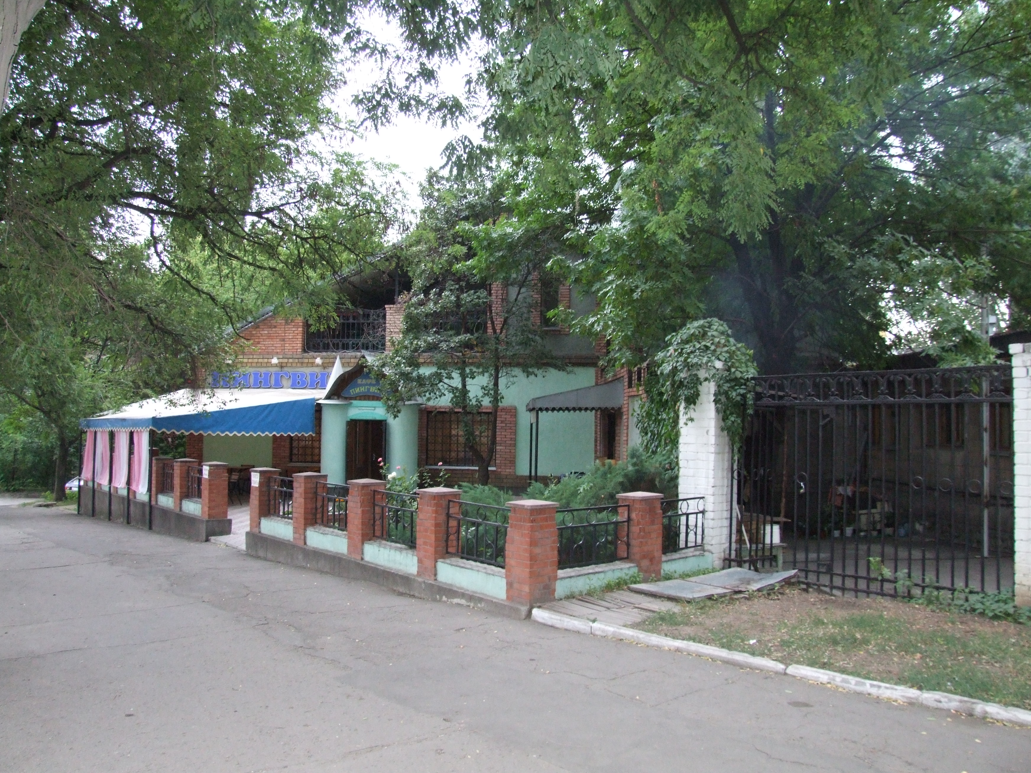 Кафе пингвин керчь