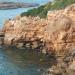 Tipaza