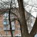 пер. Крупской, 69 в городе Каменск-Шахтинский