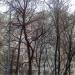 Жилой комплекс «Звезда Фабрициуса» в городе Москва