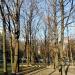 Сохранившийся фрагмент Старой Серпуховской дороги в городе Москва