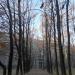 Сохранившийся фрагмент Старой Серпуховской дороги в городе Москва