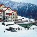 Auli