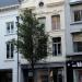 Eiermarkt, 19 in Antwerp city