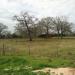 Feed Barn in College Station, Texas city