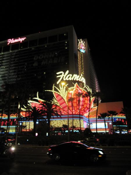 flamingo hotel and casino in las vegas