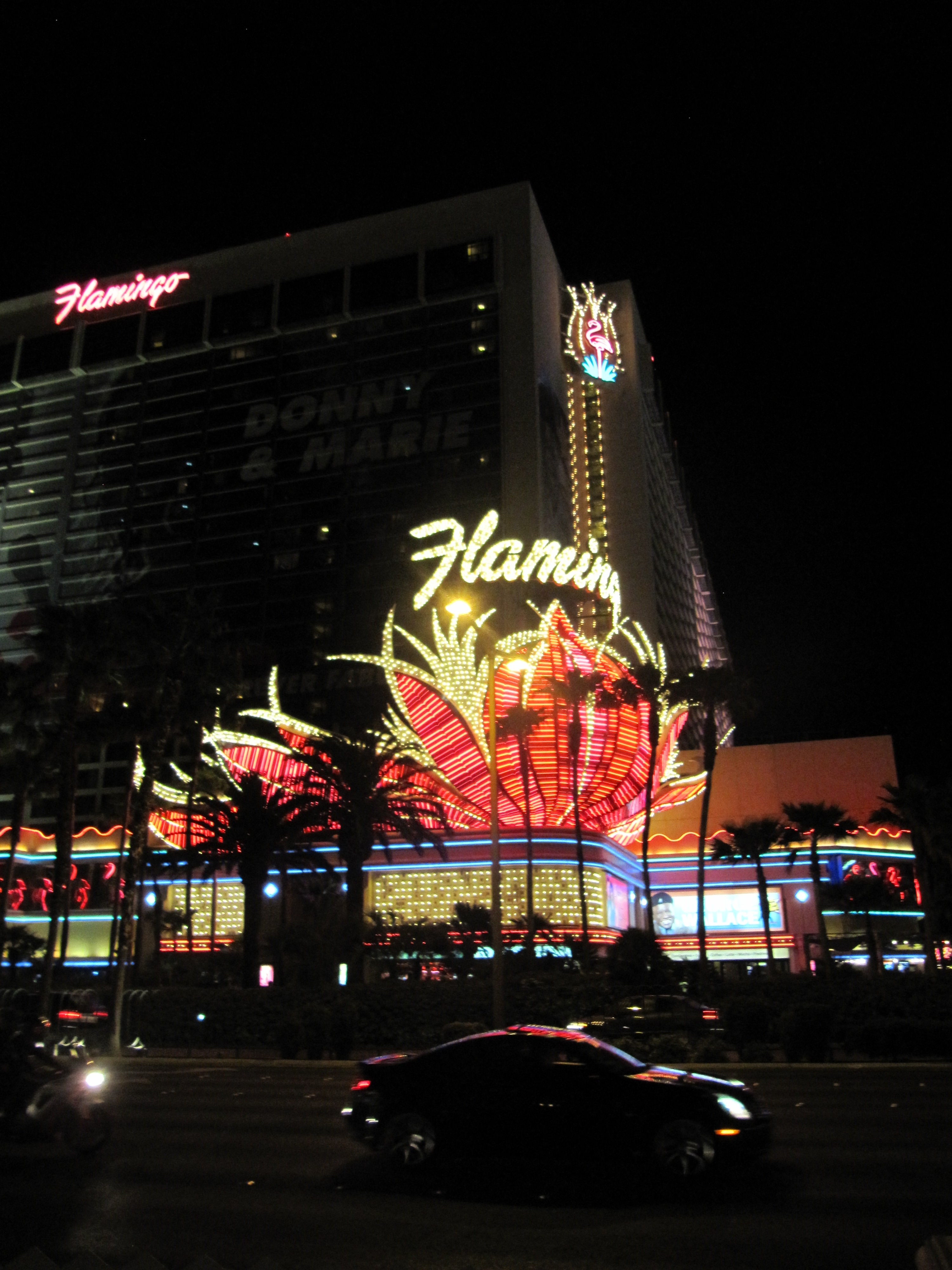 flamingo casino