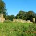 Alvecote Priory (remains of)