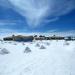 Salar de Empexa, 3117 m. (Bolivia)