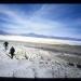 Salar de Empexa, 3117 m. (Bolivia)