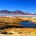 Salar y Laguna del Huasco