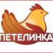 Петелинская птицефабрика в городе Часцы