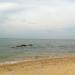 Dusit Thani Hotel Pattaya in Pattaya City city