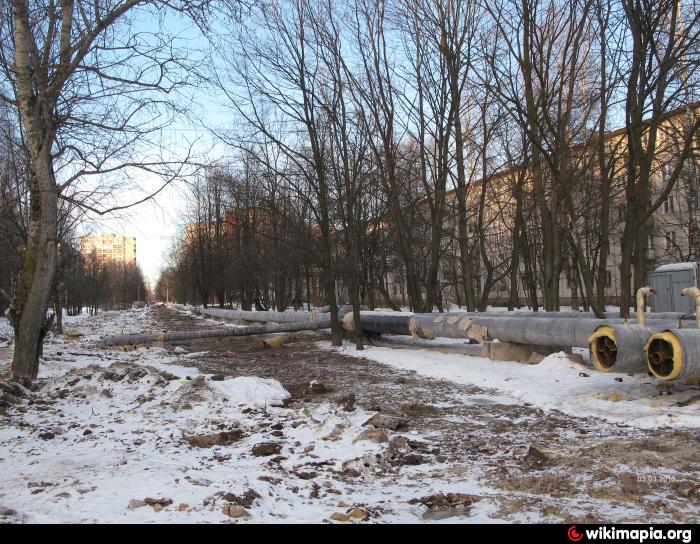 «Зелёный крест» - Санкт-Петербург