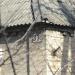 ул. Аргуновых, 37 в городе Донецк