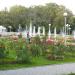 Розарий Главного ботанического сада в городе Москва