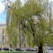 Garden of the Russian Church in Sofia city