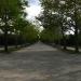 Центральная аллея парка Победы в городе Севастополь