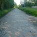 Cobblestone-covered street