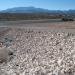 Flood Water Detention Basin