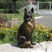 Скульптура собака в городе Киев