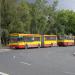 Pętla autobusowa 