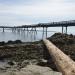 Sidney Fishing Pier