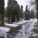 Мемориальный комплекс (ru) в місті Миронівка