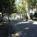 Эвкалиптовая аллея (ru) in გაგრა city