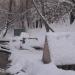 Памятник природы «Три родника в долине реки Чертановки в Битцевском лесу» в городе Москва