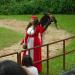 Theatrical Performances of the birds in Republic of Singapore city