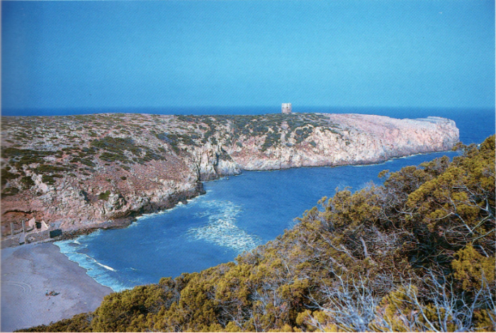 Cala Domestica