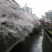 日の出橋 (ja) in Tokyo city