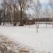 Новгородский городской клуб любителей зимнего плавания в городе Великий Новгород