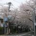 小山台一丁目交差点 (ja) in Tokyo city