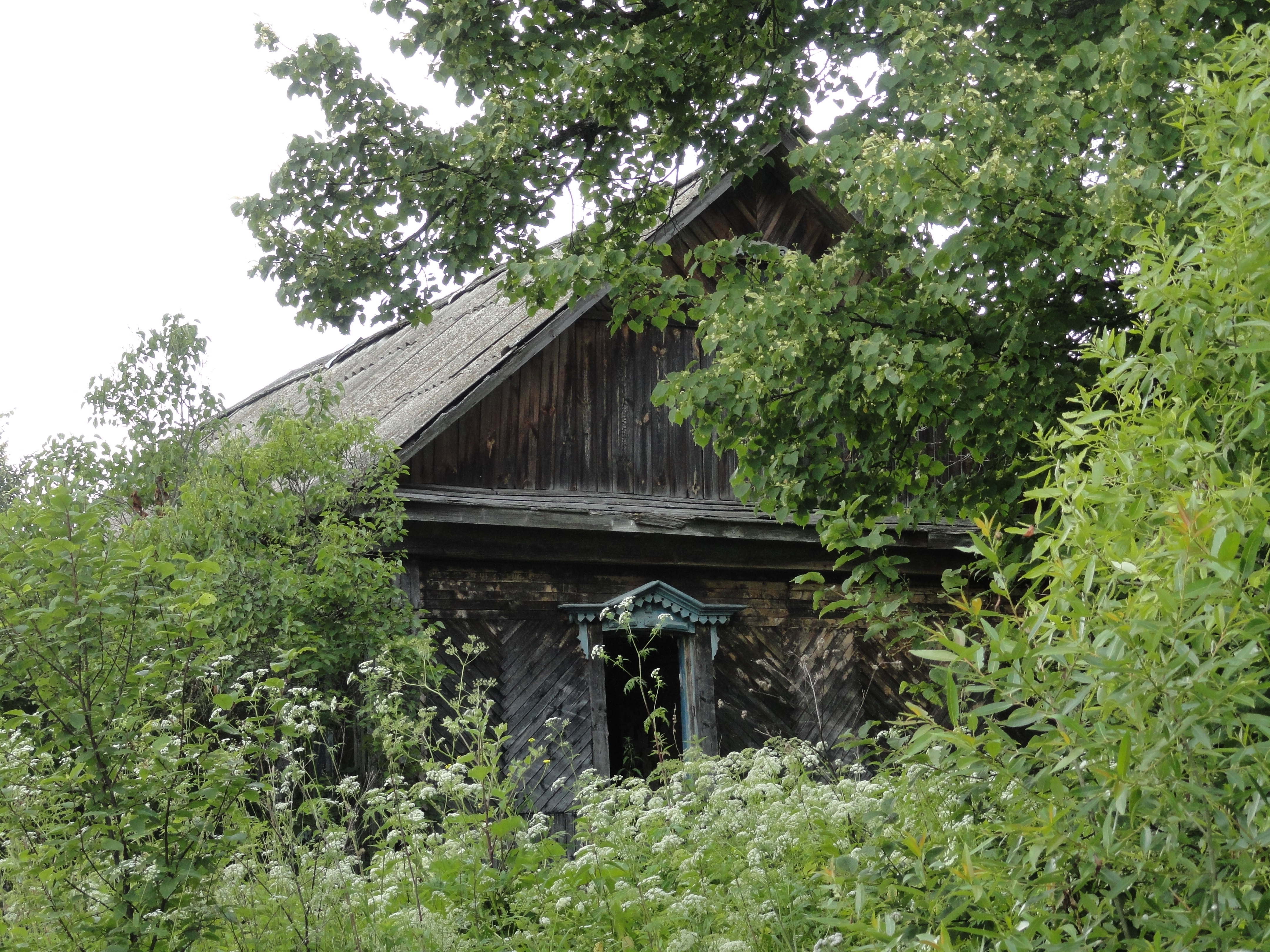 Заброшенная деревня Велема Калужская область Тарусский район