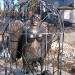 Памятник боевому ангелу в городе Великий Новгород