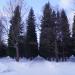 Сильвийские ворота в городе Гатчина