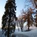 Old park in Lappeenranta city