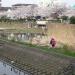 生物池 (ja) in Yokohama city